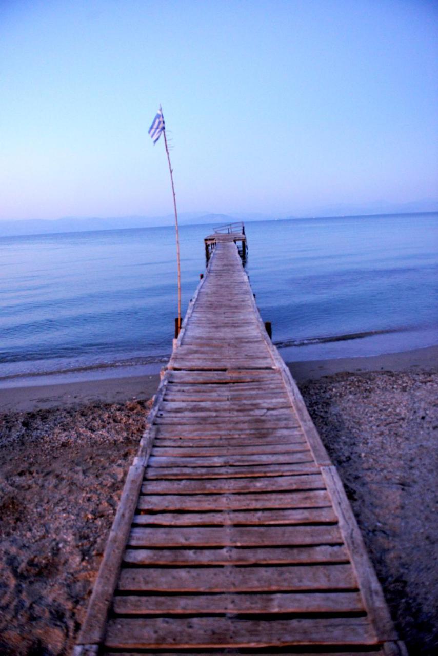 Stefanos Resort Μεσογγή Εξωτερικό φωτογραφία